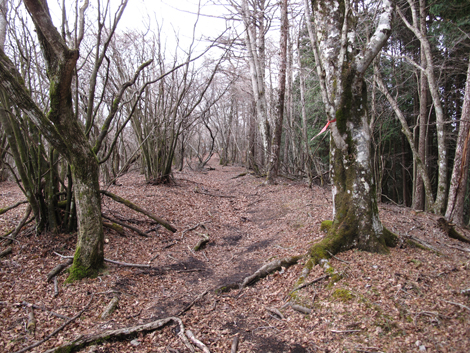 20181205hike (228)